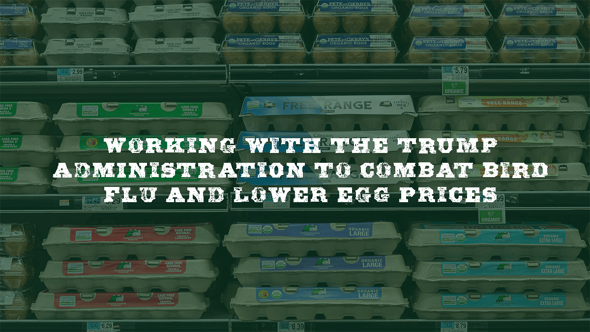 Working with the Trump administration to combat bird flu and lower egg prices