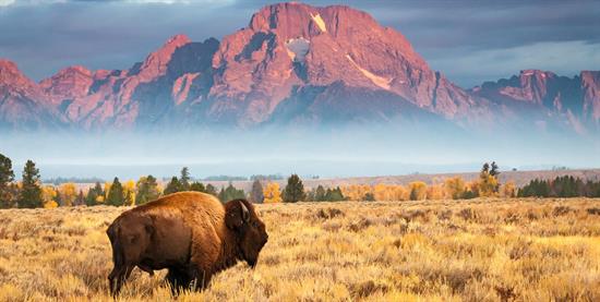 Wyoming Landscape